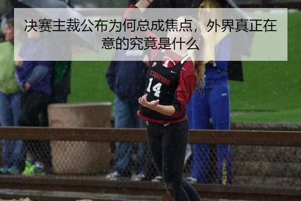 决赛主裁公布为何总成焦点，外界真正在意的究竟是什么